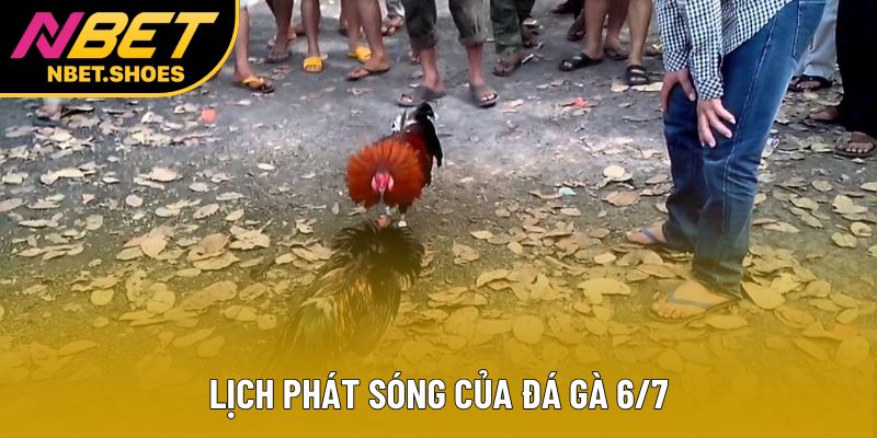 Lịch phát sóng của đá gà 6/7