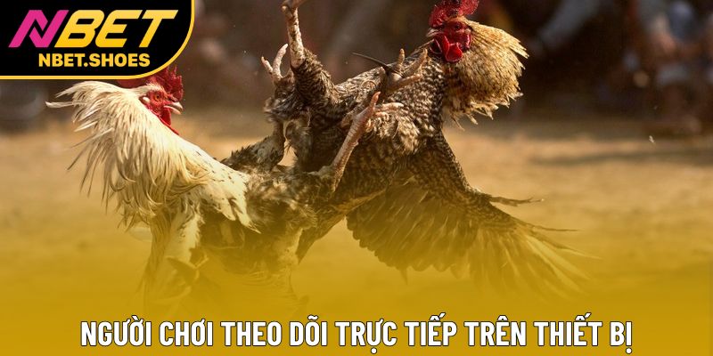 Người chơi theo dõi trực tiếp trên thiết bị