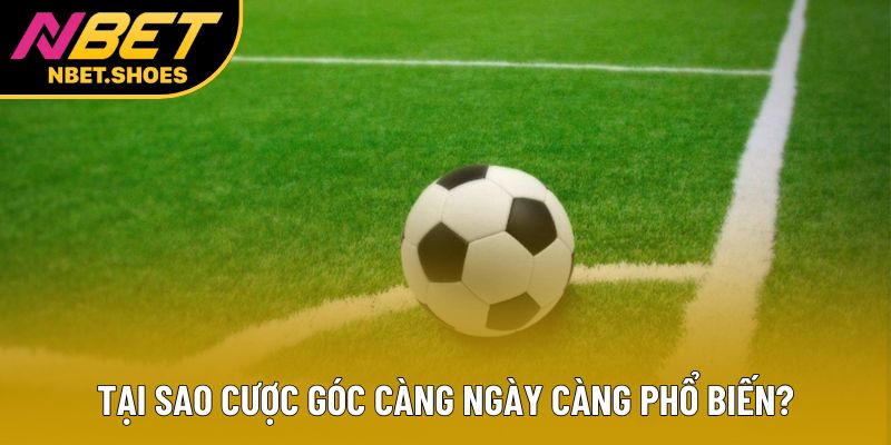 Tại sao cược góc càng ngày càng phổ biến?