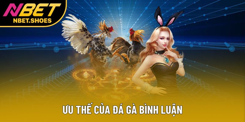 Ưu thế của đá gà bình luận